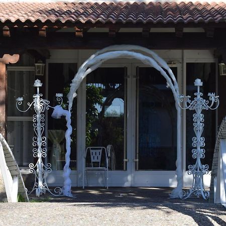 Hotel Las Casitas Del Jardin Tudela de Duero Eksteriør bilde